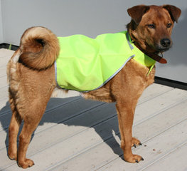 Dog Safety Jacket